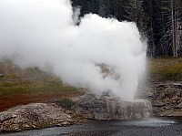 Yellowstone Old faithfull et ses environs (90).JPG